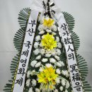 ‘원조 월드스타’ 강수연 별세… 영화인장으로(영결식 11일 오전 10시 유튜브 생중계) [2022.5.7] 이미지