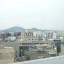 청담씨엘 | 서울 명품 편집샵 추천, 에르메스 쇼룸 분위기의 씨엘드청담 방문 후기