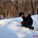 사계절을담다