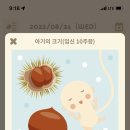 임신마을 이미지