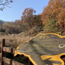 원적산공원 이미지