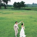 푸릇푸릇 - 고양시 일산동구 장백로 184 | 평택 웨딩스냅 영월필름 - 농성공원에서 제주스냅 안부러운 서울 근교 푸릇푸릇 야외스냅 후기!