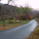 옥수숯불구이 이미지