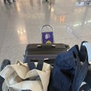 11260-1-18-47 | [JQ47/JQ48] 인천-시드니 젯스타 탑승후기/자리추천/가격/항공기지연/인천공항맛집/젯스타 카운터