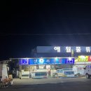 씨유제주애월수산점 | 제주 애월 회포장 내돈내산 갯바위수산 애월항 활어 돔 2KG 가성비 횟집 추천