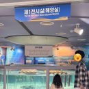 미수 해양공원 | 7살 아이와 2박3일 통영 여행기 / 1일차(2) 통영수산과학관, 조개구이 / 광고아님