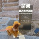 서들1길 | 문경 애견동반카페 찾다가 알게된 카페서들 대형카페 후기