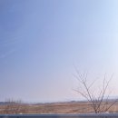 국립경국대학교 | 교육 컨설팅 업자의 출장기 (국립 경국대학교, 경북여성정책개발원)