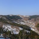 고동치 Daum카페