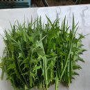 권관농장 이미지