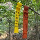 외서 우산재 Daum카페
