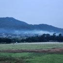 GS25 강화부근리점 이미지