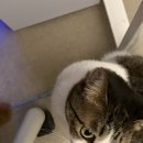 (주)엘지전자 포항 서비스 센터 이미지