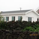 표선교회 이미지