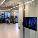 네스트짐 헬스피티 이미지