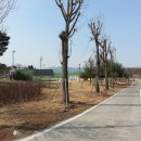 흥천체육공원 네이버블로그