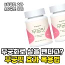 무궁유통 | 무궁핏 효과 후기 부작용 복용법 가격