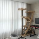 비피에프캣 | 고양이 캣타워 추천, BPF 원목 캣타워 6년 내돈내산 후기