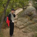 한태목장 이미지