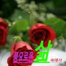 라인댄스(야) 이미지