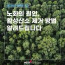 산소 이미지