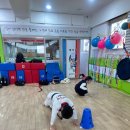 합성태권도장 이미지
