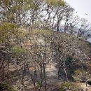 민물천국 이미지