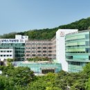 롯데의료재단보바스병원 이미지