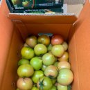 청춘과일 이미지