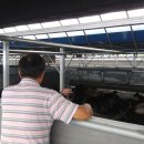 초평농장 이미지