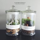 슬로우약국 이미지