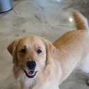 쿨스타스 이미지