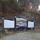 [충남 서산] 개심사 + 서천 동백꽃, 쭈꾸미 축제 + 딸기 체험