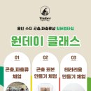 팀버렙타일곤충;파충류샵