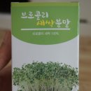 성채축산 | 설포라판이 풍부한 틔움바이오 브로콜리새싹분말