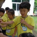 운남초교병설유치원 이미지