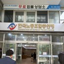 송림 | 여의도 중식당 송림 룸 이용후기 요리만 7개 먹은 썰