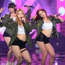 모아(M.O.A)
