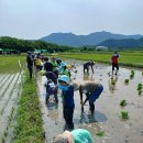 순천인안초등학교 이미지