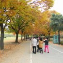 토성농장 이미지