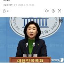 심상정, 거대양당 위성정당 비판 기자회견 이미지