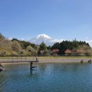 후지산 둘레길 그리고 시즈오카 자유여행 이미지