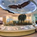 서산버드랜드 전시관(2층) 이미지