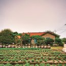 자은도하우스 이미지