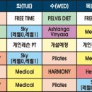 SY 메디칼 이미지