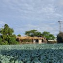 좌기동경로당 이미지