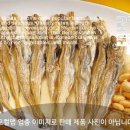 노가리와뻑가리 티스토리