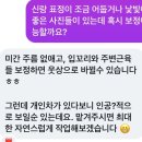서울한복 | 웨딩한복스냅 내돈내산 대만족후기/ 서울 한복스냅