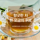 위로푸드 이미지