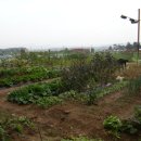 어미들 농장 이미지